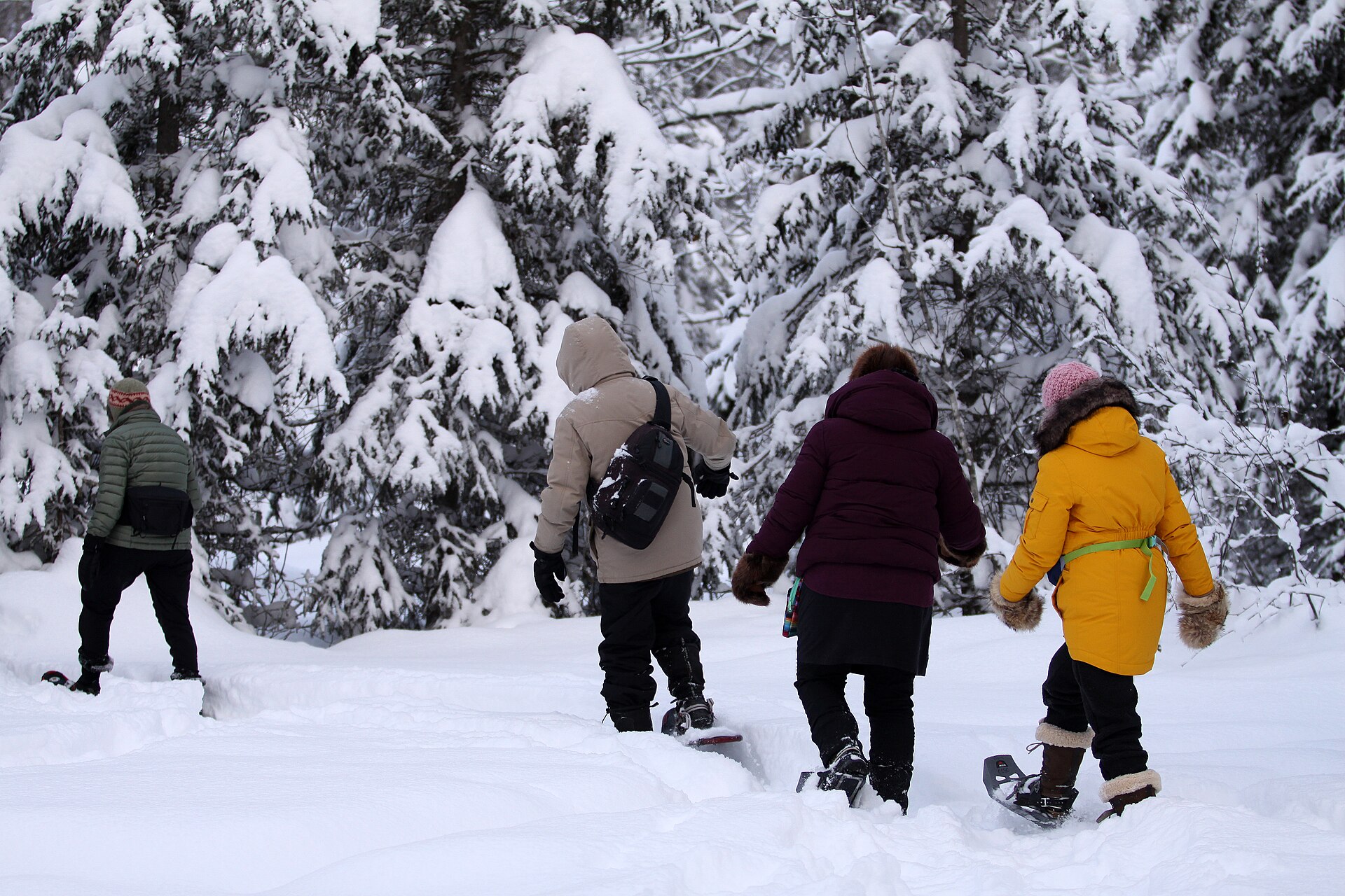 BLM Alaska · Public domain · https://commons.wikimedia.org/wiki/File:Snowshoeing_deep_snow_(53451728011).jpg · https://commons.wikimedia.org/wiki/File:Snowshoeing_deep_snow_(53451728011).jpg A small group travelling on snowshoes through fresh winter snow