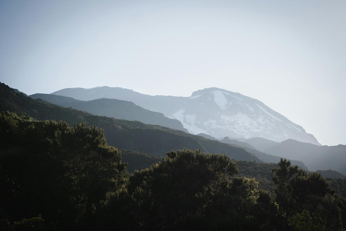 Kibo above the western forest approach
