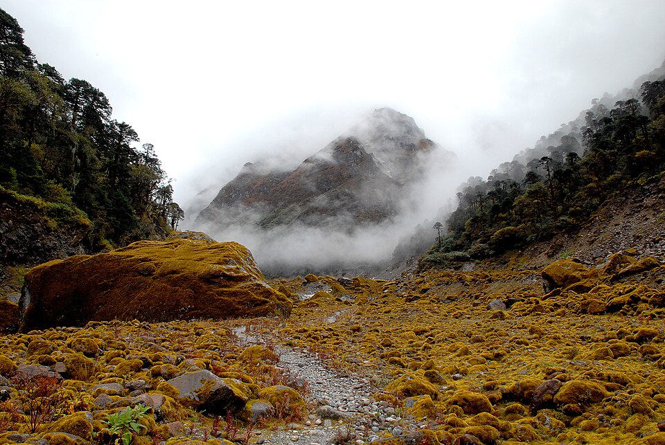 The Hinku valley between Thangnak and Kothe