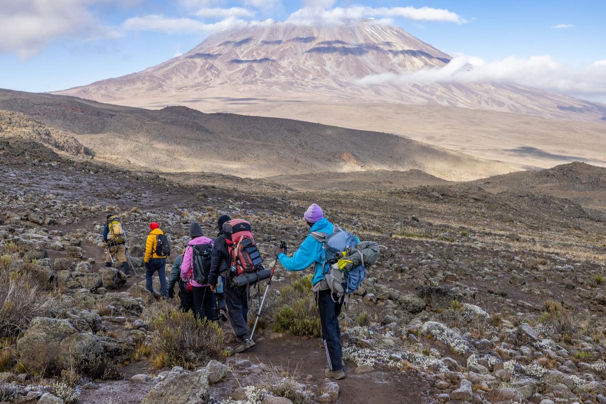 Photographers credited in the source route gallery · Unsplash / Pexels (as credited by source gallery) · https://unsplash.com/license · https://kiliatlas.com/routes/northern-circuit/ · Displayed with a crop to fit The Saddle on the approach to School Hut