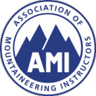 AMI association badge